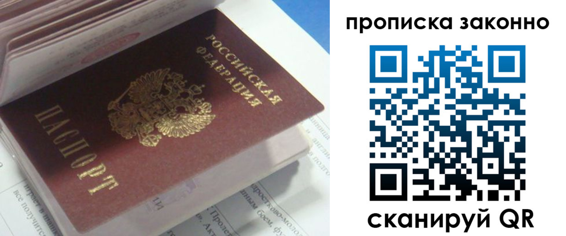 прописка гарантия в Ярославле